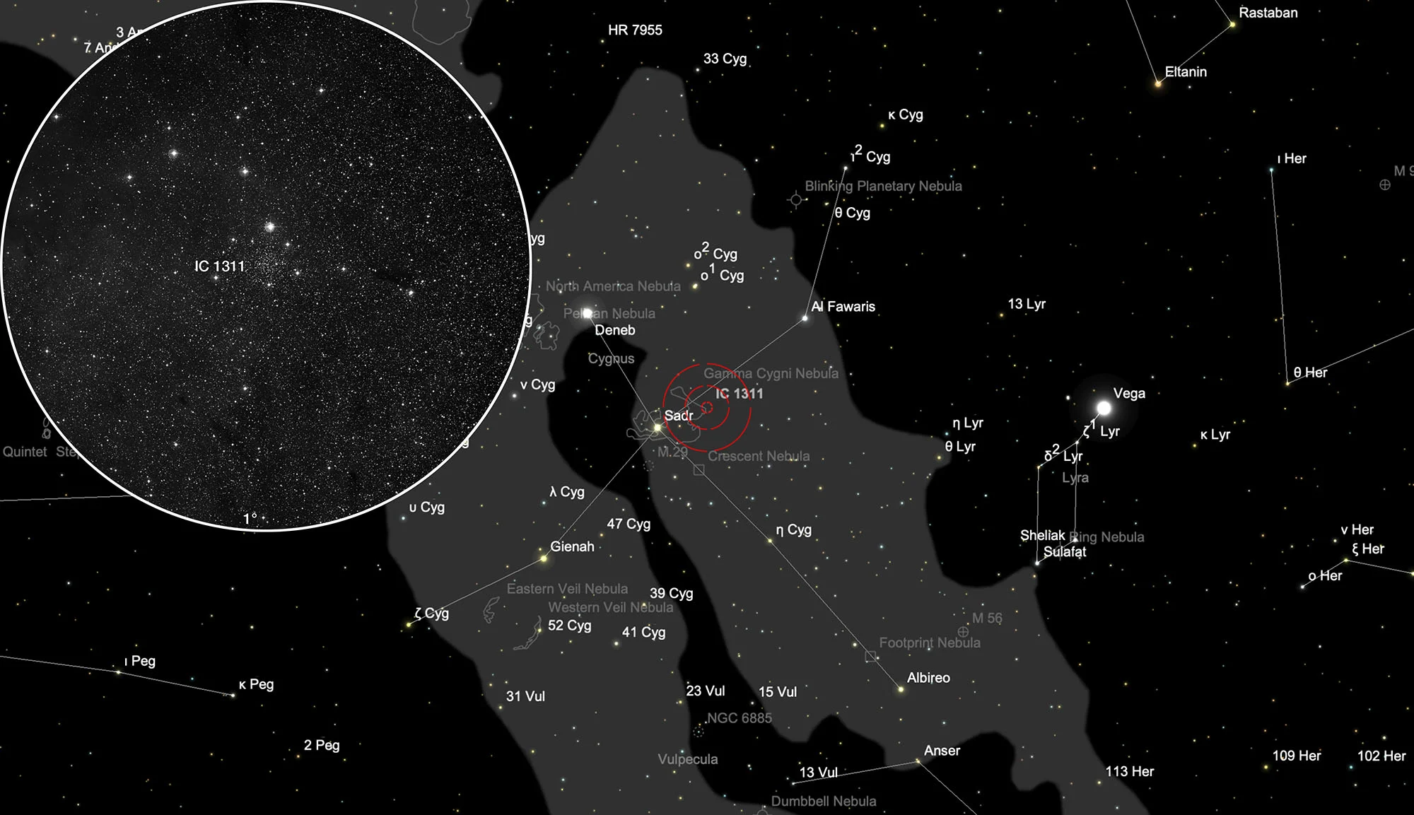 Chart IC 1311