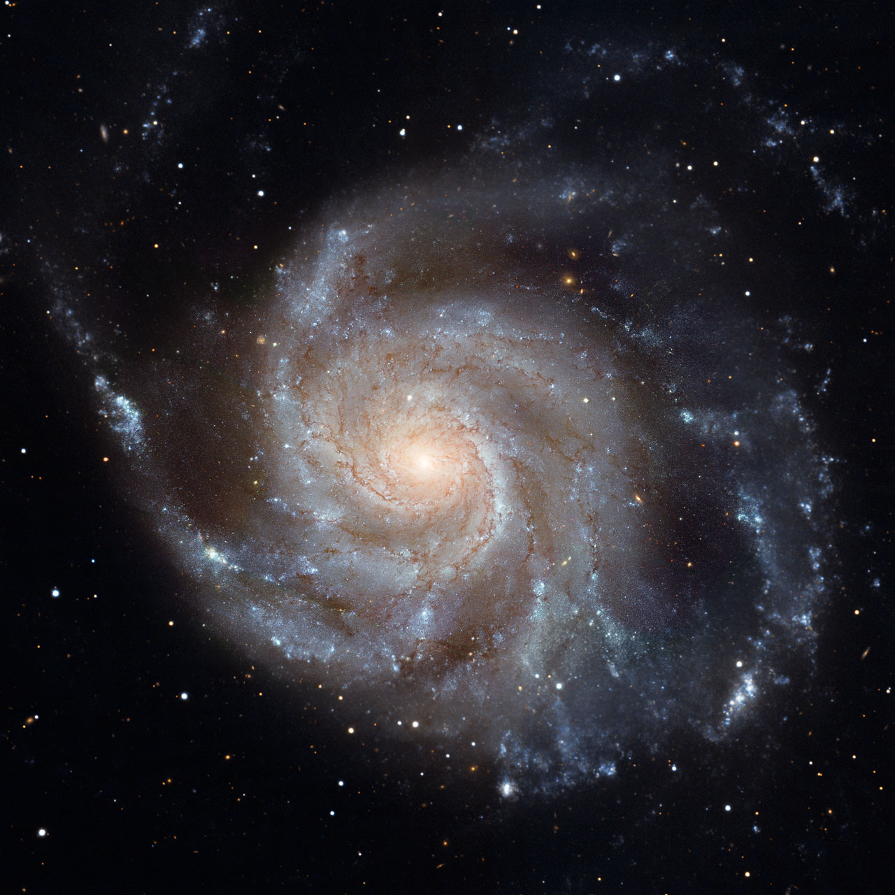 M 101