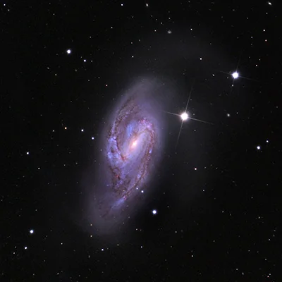 Leo Triplet, Arp 16