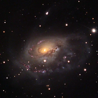 Arp 184