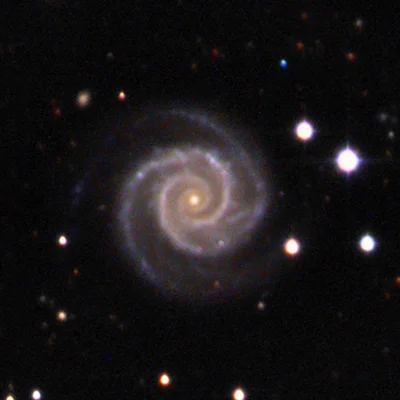 Arp 1