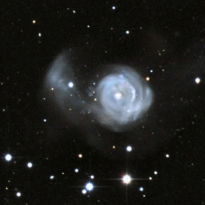 Arp 215