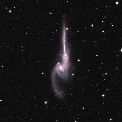 Mice Galaxies, Arp 242