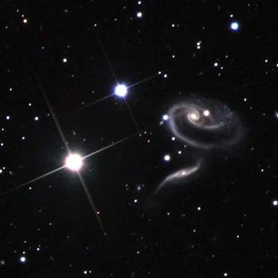 Rose Galaxy, Arp 273