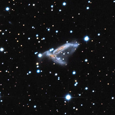 Arp 278