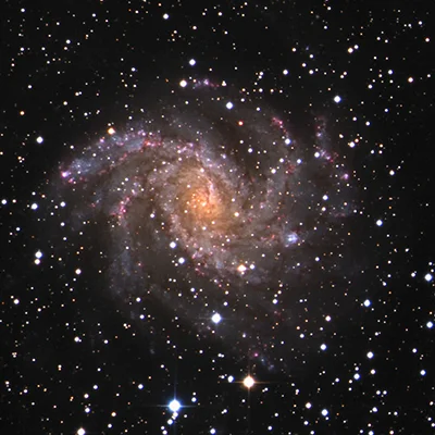 Fireworks Galaxy, Arp 29