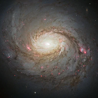 Cetus A, Arp 37