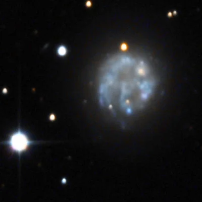 Bear Paw Galaxy, Arp 6