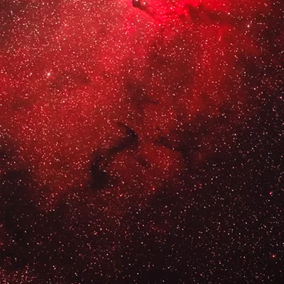 Barnard 365