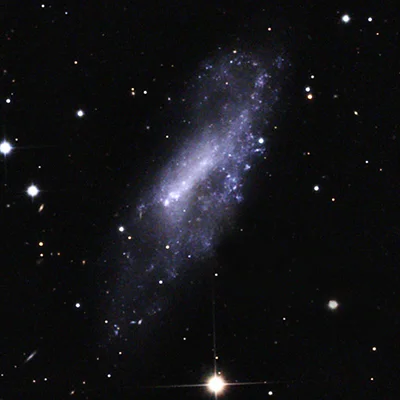 IC 1727