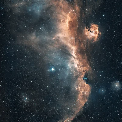 Seagull Nebula, IC 2177