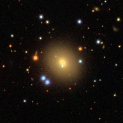 IC 313