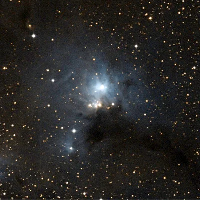 IC 446