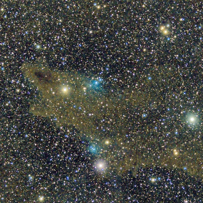 Shark Nebula, LDN 1235