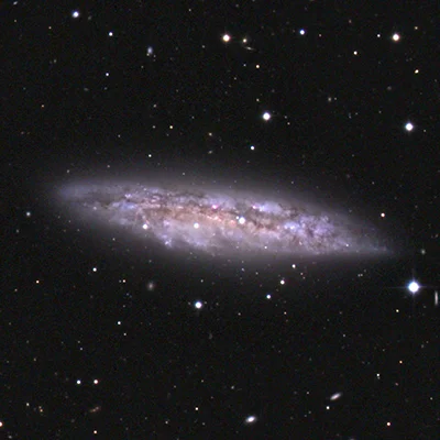 NGC 3556