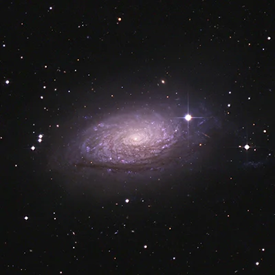 Sonnenblumen-Galaxie, Messier 63
