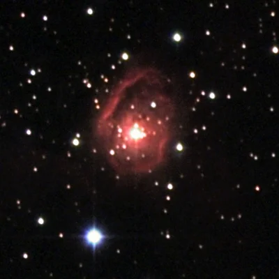MWC 137