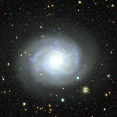 NGC 1310