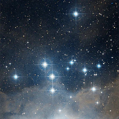 NGC 1981