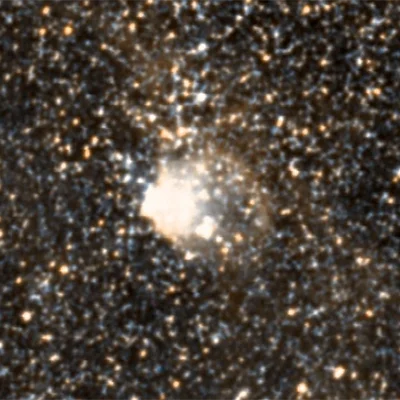 NGC 2113