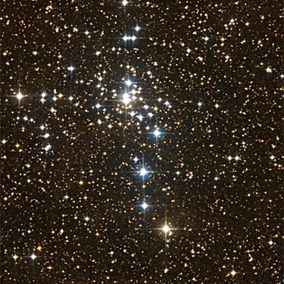 Great Bird Cluster, NGC 2301