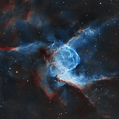 NGC 2361