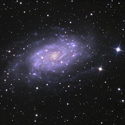 NGC 2404
