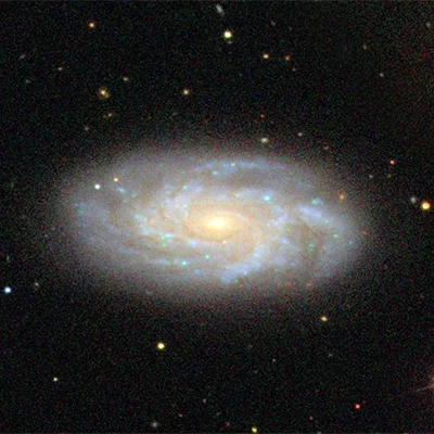 NGC 2742