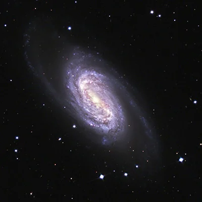 NGC 2905