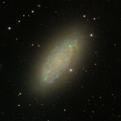 NGC 2976