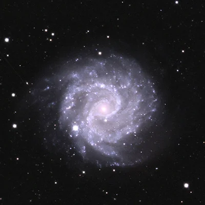 NGC 3181