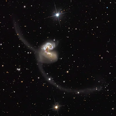 Antennen-Galaxien, NGC 4039, C 61