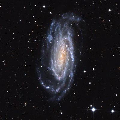 NGC 5033