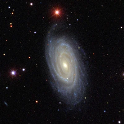 Drachen-Trio, NGC 5985