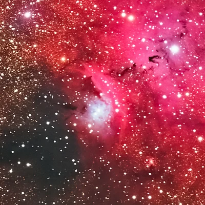 NGC 6559