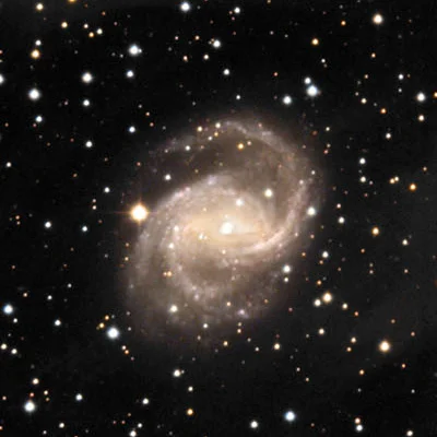 NGC 6951