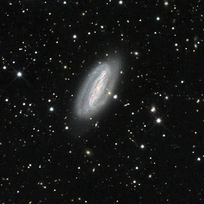 Grus-Quartett, NGC 7582