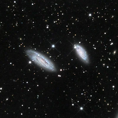 Grus Quartet, NGC 7590