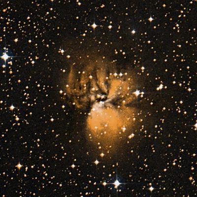 Oktopus-Nebel, Sh 2-294