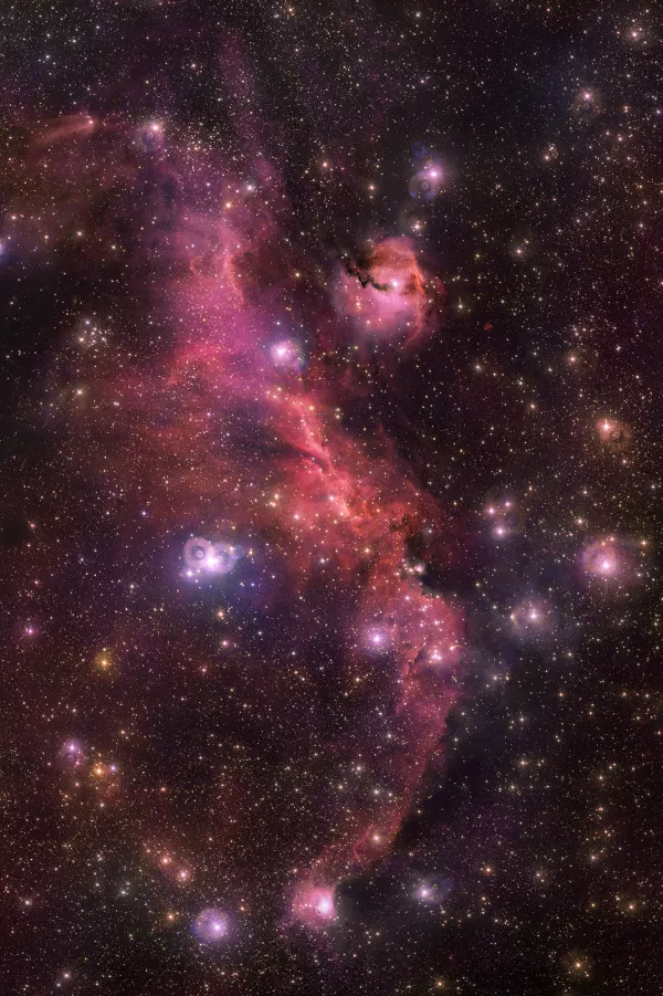 Seagull Nebula