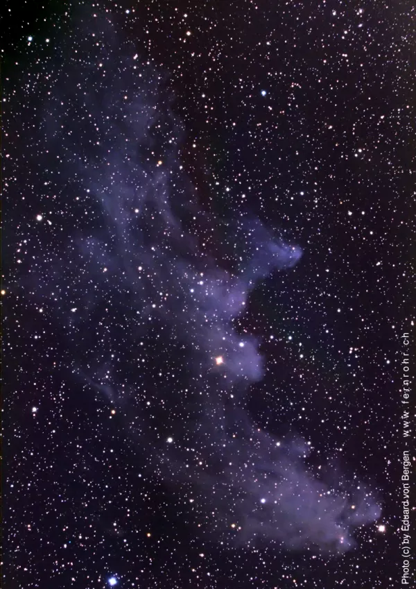 IC 2118