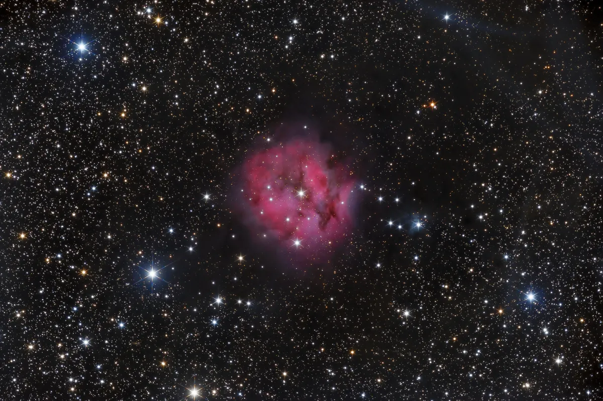 IC 5146