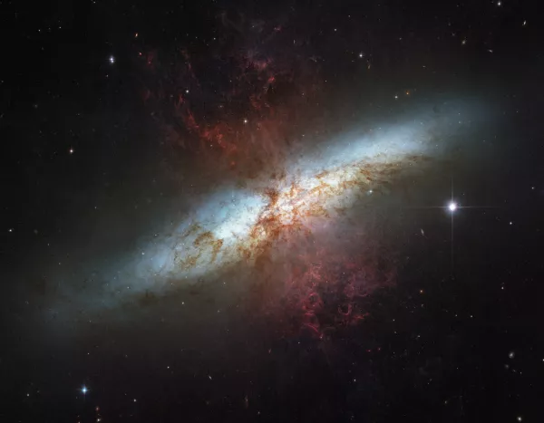 M 82