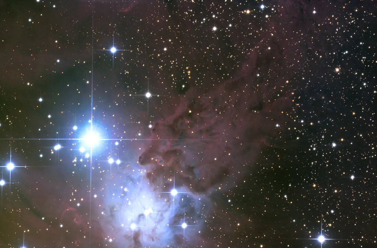 NGC 2264