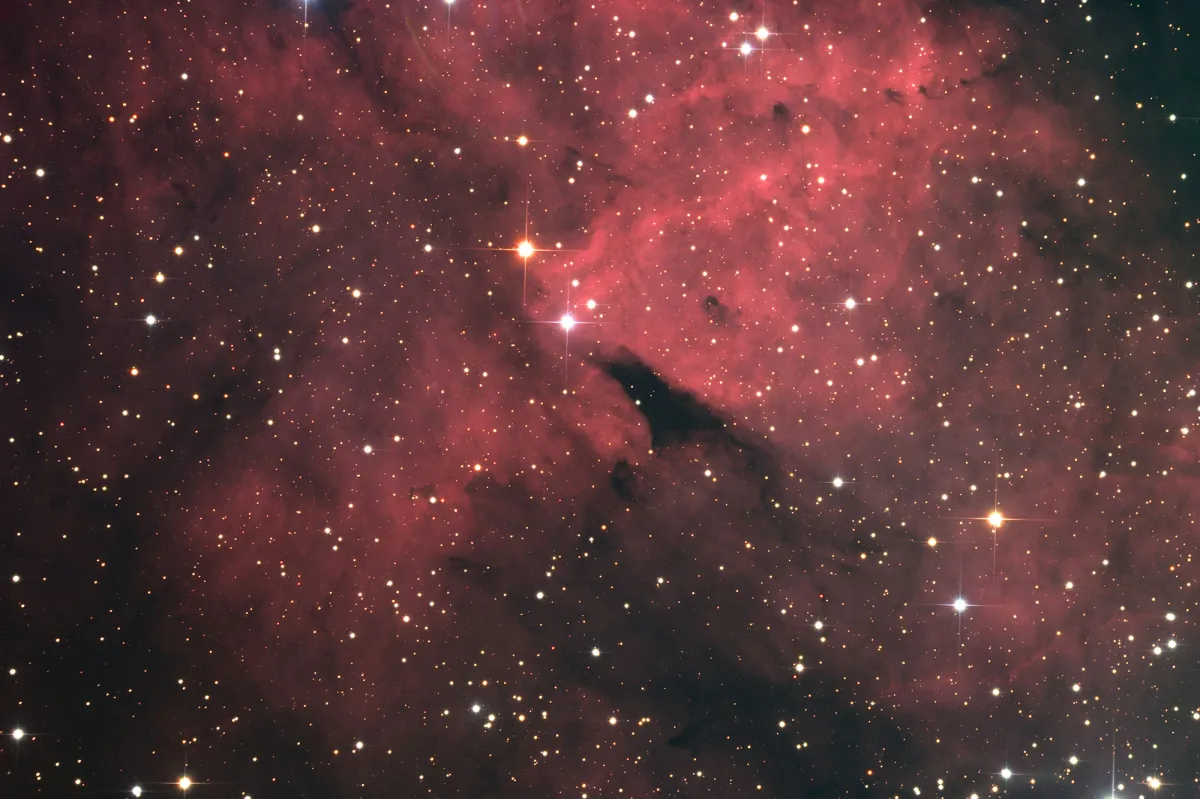 IC 1318