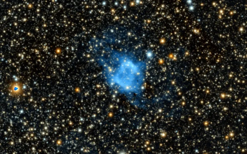 NGC 6445