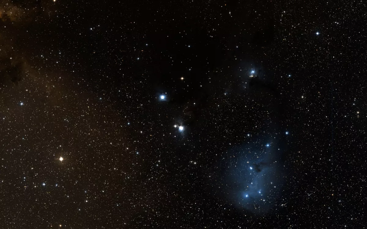 IC 446, IC 447, NGC 2245, NGC 2247