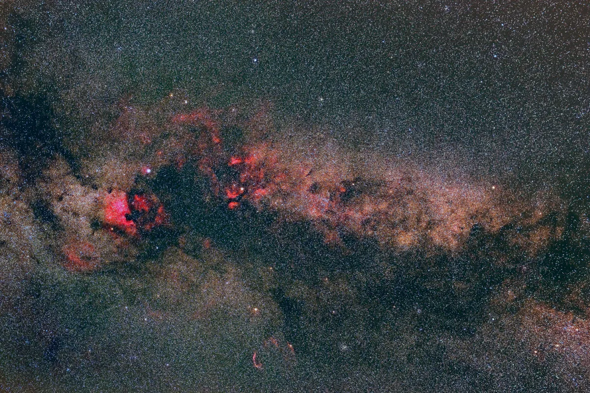 Cygnus