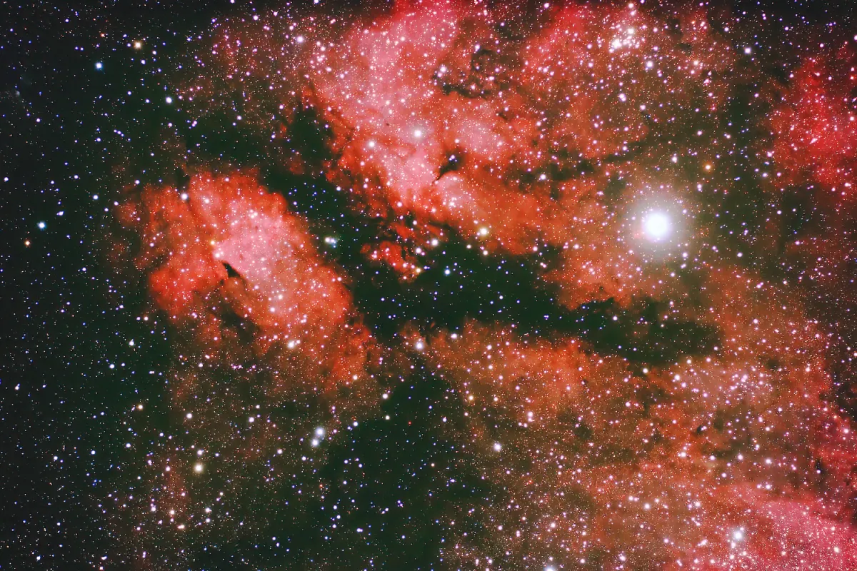 IC 1318