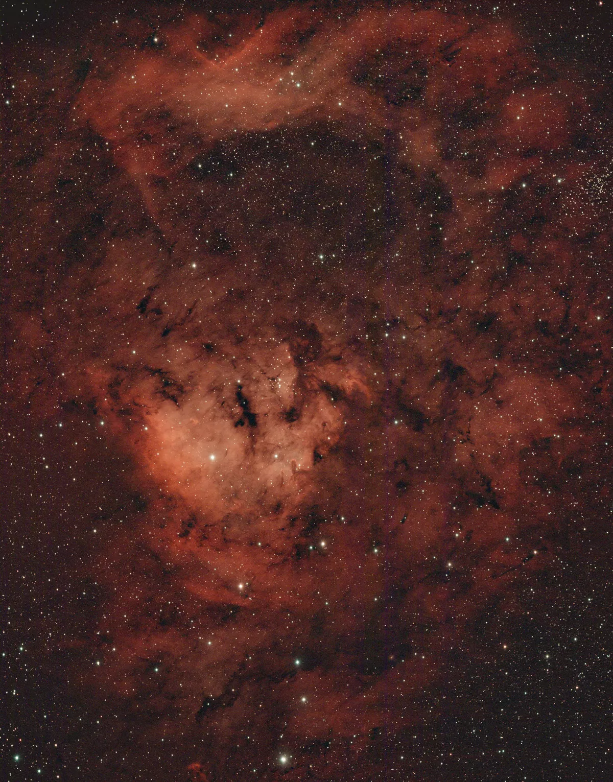 NGC 7822, Cederblad 214
